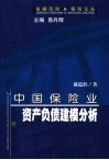 中国保险业资产负债建模分析 封面