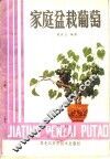 家庭盆栽葡萄 封面