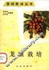 龙眼栽培 封面