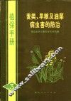 麦类、旱粮及油菜病虫害的防治 封面