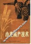 小麦高产技术 封面