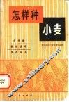 怎样种小麦 封面