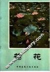 荷花 封面