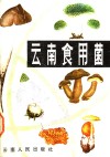 云南食用菌 封面