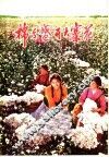棉乡盛开大寨花  河南省新乡县开展农业学大寨群众运动的经验 封面
