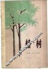 椿树 封面