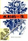 水杉的一生 封面