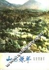 山区养羊 封面
