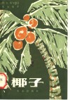 椰子 封面
