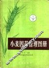 小麦因苗管理图册 封面