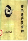 猪的遗传及育种 封面