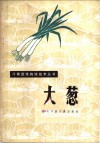 大葱 封面