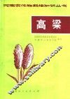 高粱 封面