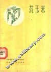 药玉米 封面