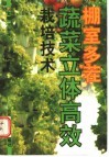 棚室多茬蔬菜立体高效栽培技术 封面