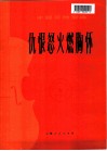 仇恨怒火燃胸怀  革命现代舞剧《白毛女》选段  小提琴独奏曲 封面