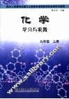 化学学习与实践  九年级  上 封面