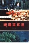 珊瑚建筑师 封面