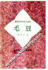 毛豆 封面