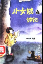 小女贼在惦记 封面