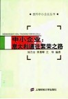 中小企业：意大利通往繁荣之路 封面