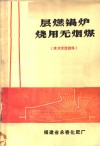 层然锅炉烧用无烟煤 封面