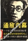 通敌内幕：大汉奸周佛海浮沉录 封面