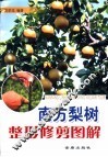 南方梨树整形修剪图解 封面