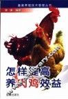 怎样提高养肉鸡效益 封面