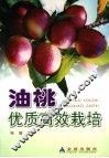 油桃优质高效栽培 封面