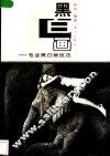 黑白画  专业黑白画技法 封面