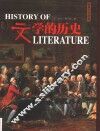 文学的历史 封面