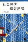社会经济统计原理 封面