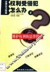 维护权利的法律程序 封面