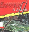 装饰绘画造型基础  花卉变形 封面