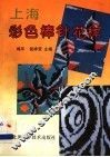 上海彩色棒针花样 封面