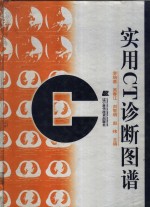 实用CT诊断图谱 封面