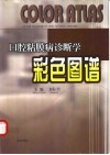 口腔粘膜病诊断学彩色图谱 封面