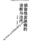 损容性皮肤病的诊断与治疗 封面