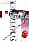 病理学彩色图谱  中英文本 封面