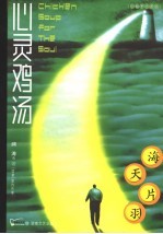 心灵鸡汤  小故事珍藏版  海天片羽 封面