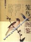 笼鸟图鉴 封面