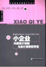 小企业内部会计控制与会计错弊的审查 封面