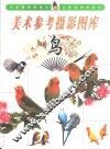 美术参考摄影图库  鸟 封面