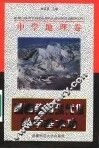 基础教育现代化教学基本功  中学地理卷 封面