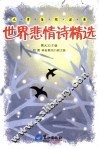 世界悲情诗精选 封面