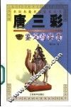 唐三彩鉴定与鉴赏 封面