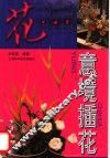 意境插花 封面