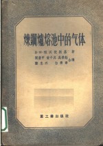 炼钢炉熔池中的气体 封面