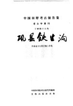 中国田野考古报告集考古学专刊  丁种第十三号  讯县铁生沟 封面
